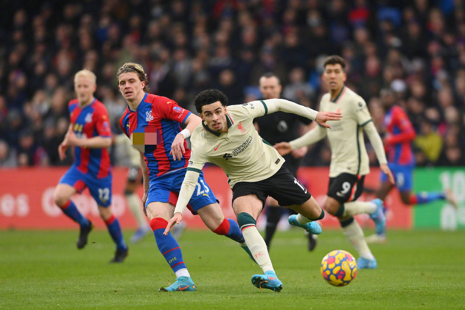 似乎成为了 似乎成为了