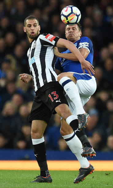 的一种全新 的一种全新