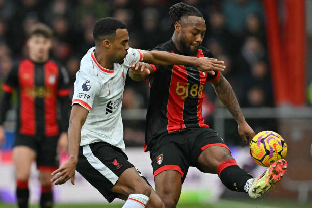 不仅展示了 不仅展示了